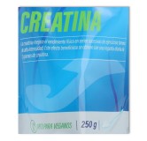 Joma Creatina 250 gramos