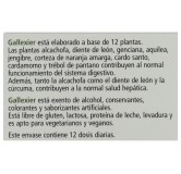 Gallexier 250 ml  Salus