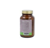 V C  Fat Burner 90 cápsulas