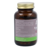 V C  Pyloprotect 60 cápsulas