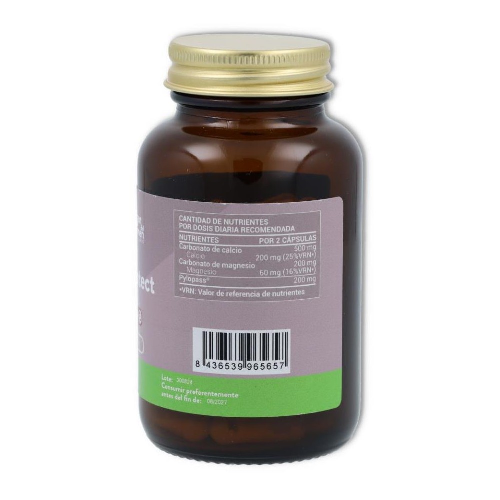 V C  Pyloprotect 60 cápsulas