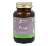 V C  Fucus 60 cápsulas