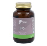 V C  Bronquial  BR  60 cápsulas