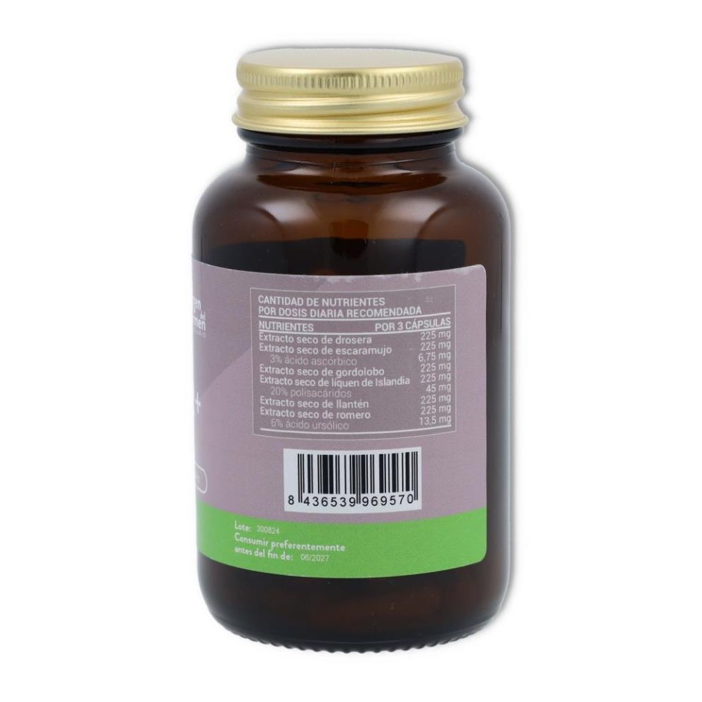 V C  Bronquial  BR  60 cápsulas