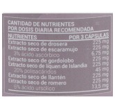 V C  Bronquial  BR  60 cápsulas