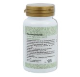 Mega Ashwagandha 7000 30 cap Plantapol