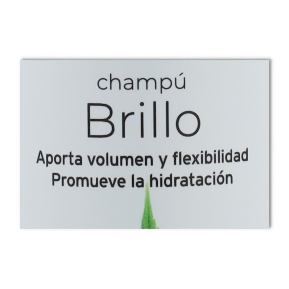 Armonia Champu Brillo 250 ml