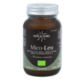 Hifas da Terra Mico-Leo 70 cap 