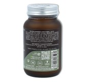 Hifas da Terra Mico-Leo 70 cap 