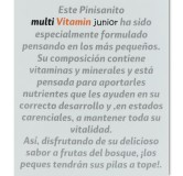 Multi Vitamina Junior 250 ml Pinisan