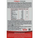 Colageno Articular Marino 20 sobres Ynsadiet