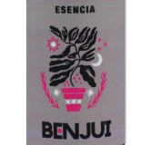 Ritual Esencia Benjui 10 ml Trinidad