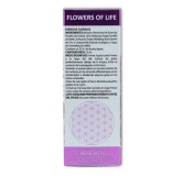 Flowers of life perdidas afectivas 15 ml Equisalud