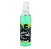 Agua de Ruda Spray 200 ml Trinidad