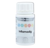 Microbiota inflamadig 60 cap