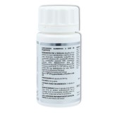 Microbiota Megaflora 9 60 cap Equisalud