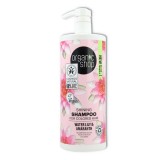 Champu Cabello Teñido 1000 ml Krous