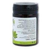 ALOE  60 com GRANADIET