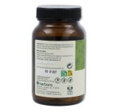 Herbora Moringa 60 cápsulas