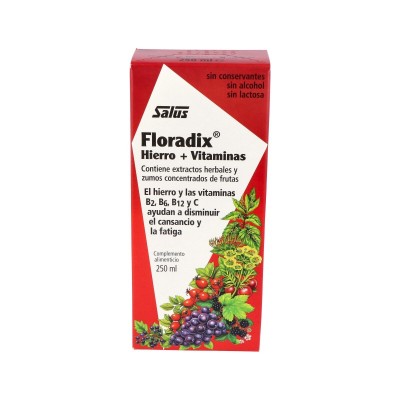 Salus Floradix® 250 ml Salus - 1