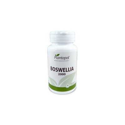 Plantapol Boswellia 30 comprimidos PLANTAPOL - 1