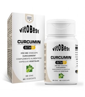 VitoBest Curcumin BCM-95 60...