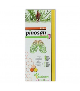 Pinosan jarabe 250 ml Pinisan