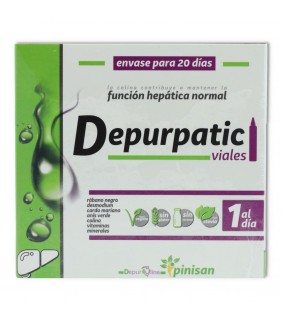 Depurpatic 20 unidades Pinisan