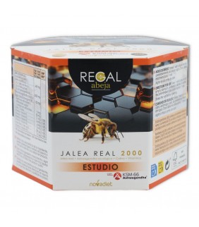 Novadiet Jalea Real Estudio 20 viales