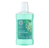 Enjuague Bucal 7 Hierbas 520 ml Nature Siberica