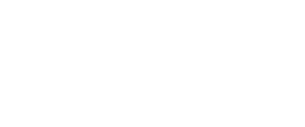 Pinisan